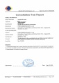 RoHS Consolidated Test Report.jpg